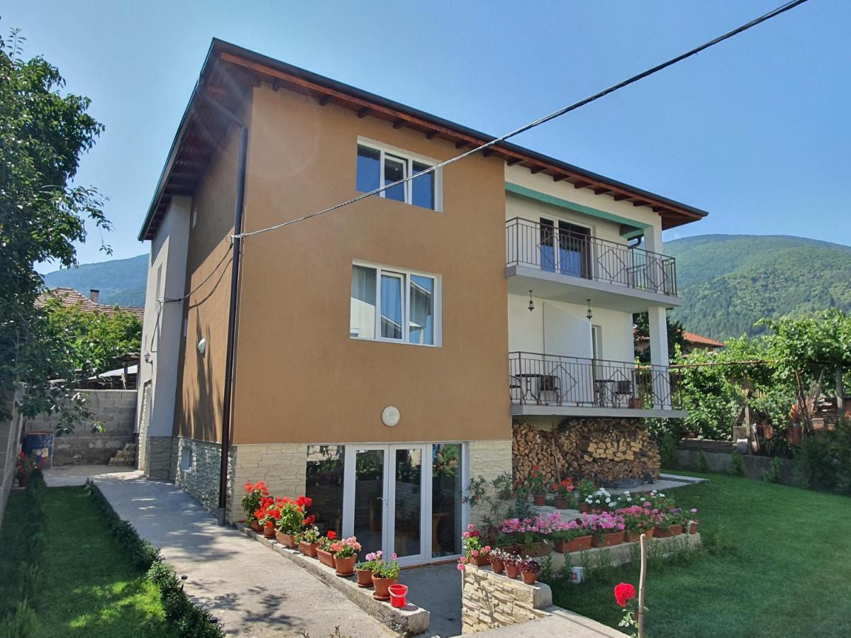 Дамяновата Къща Hotel Szapareva Banja Kültér fotó