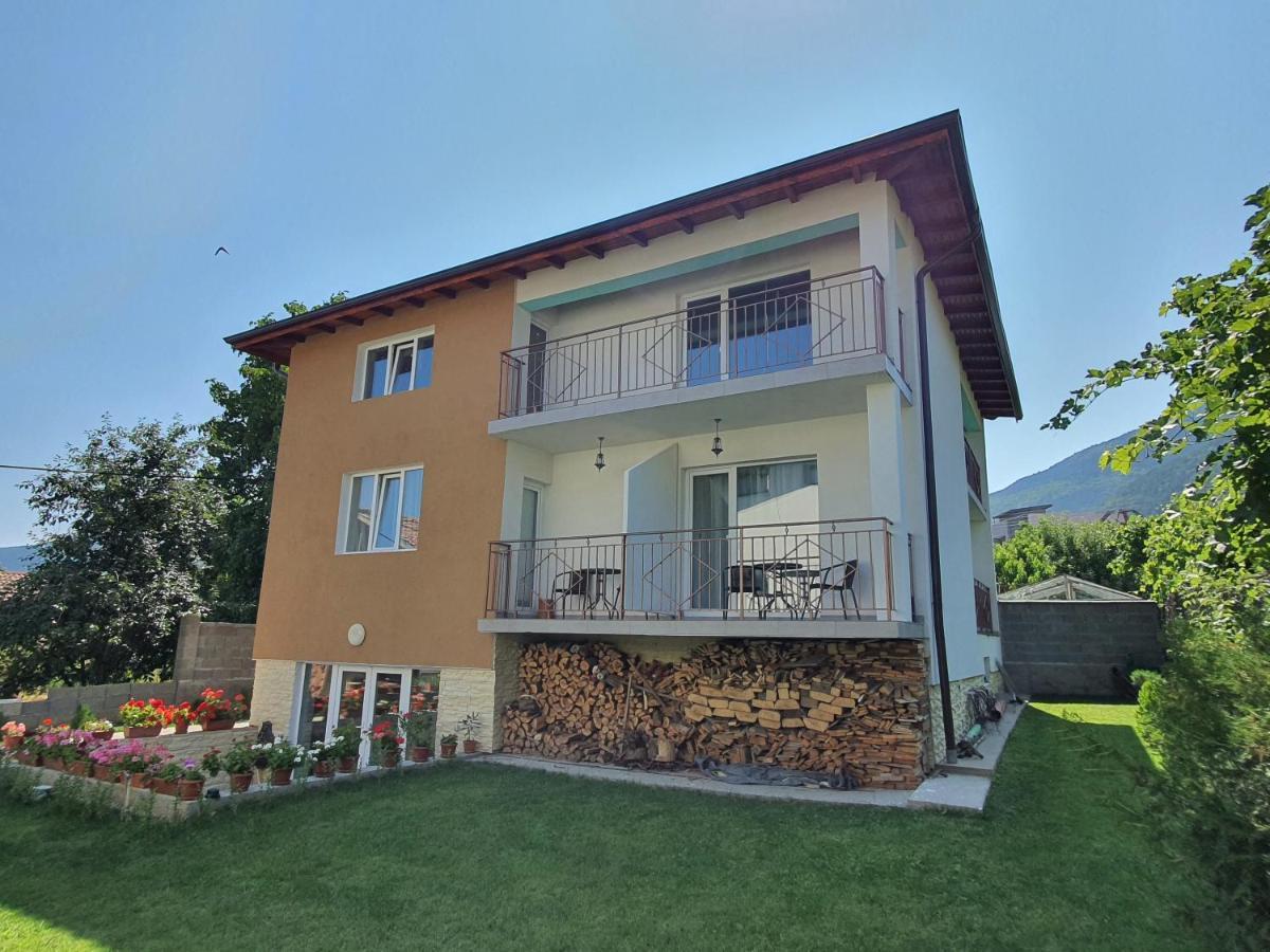 Дамяновата Къща Hotel Szapareva Banja Kültér fotó